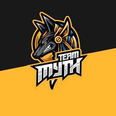 Team logo