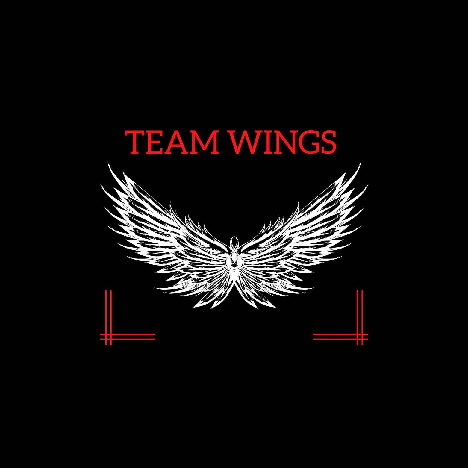 Team logo